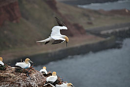 DSC02907 -1_t.jpg